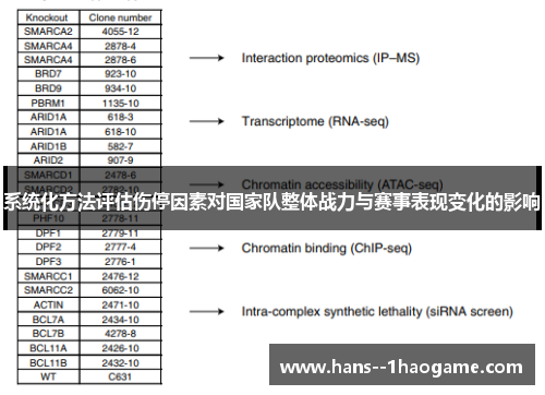 系统化方法评估伤停因素对国家队整体战力与赛事表现变化的影响
