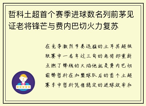 哲科土超首个赛季进球数名列前茅见证老将锋芒与费内巴切火力复苏